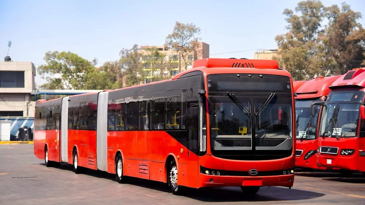 WhatsApp Image 2026-02-24 at 10.01.06 AM