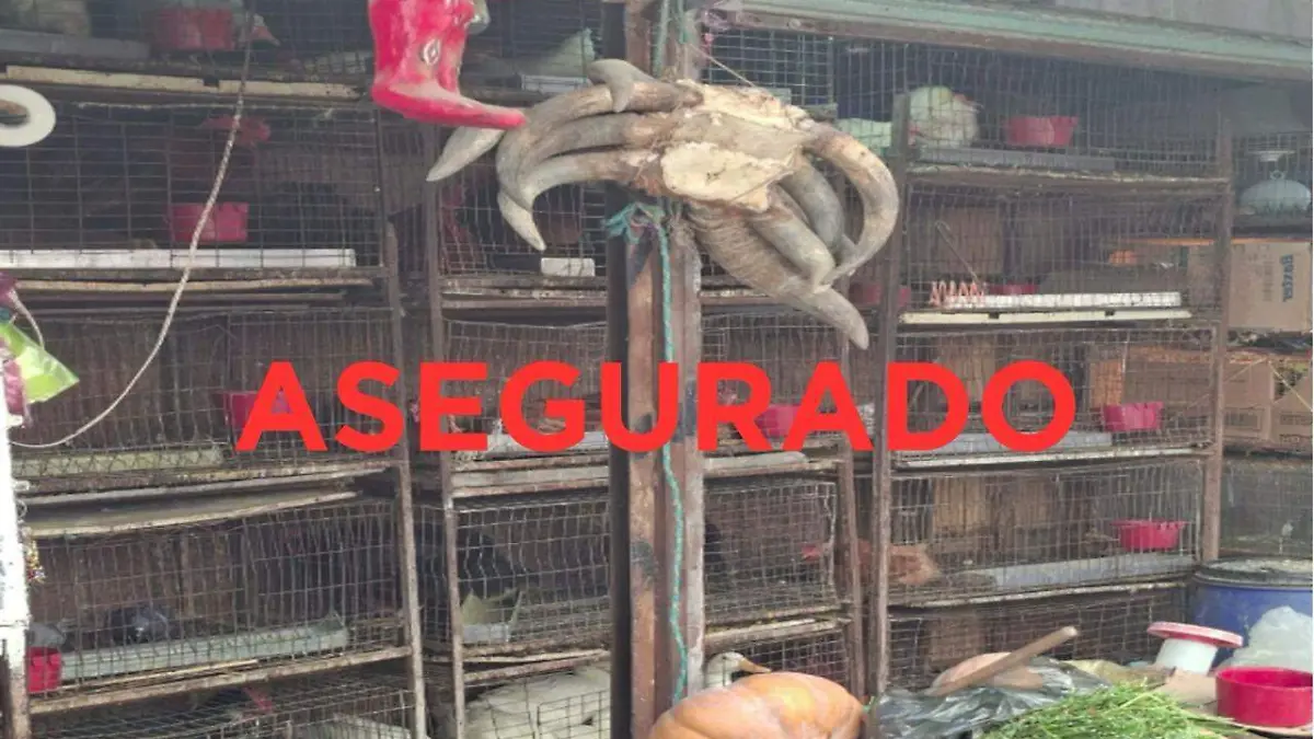 mercado animales cuautitlan FISCALIA EDOMEX