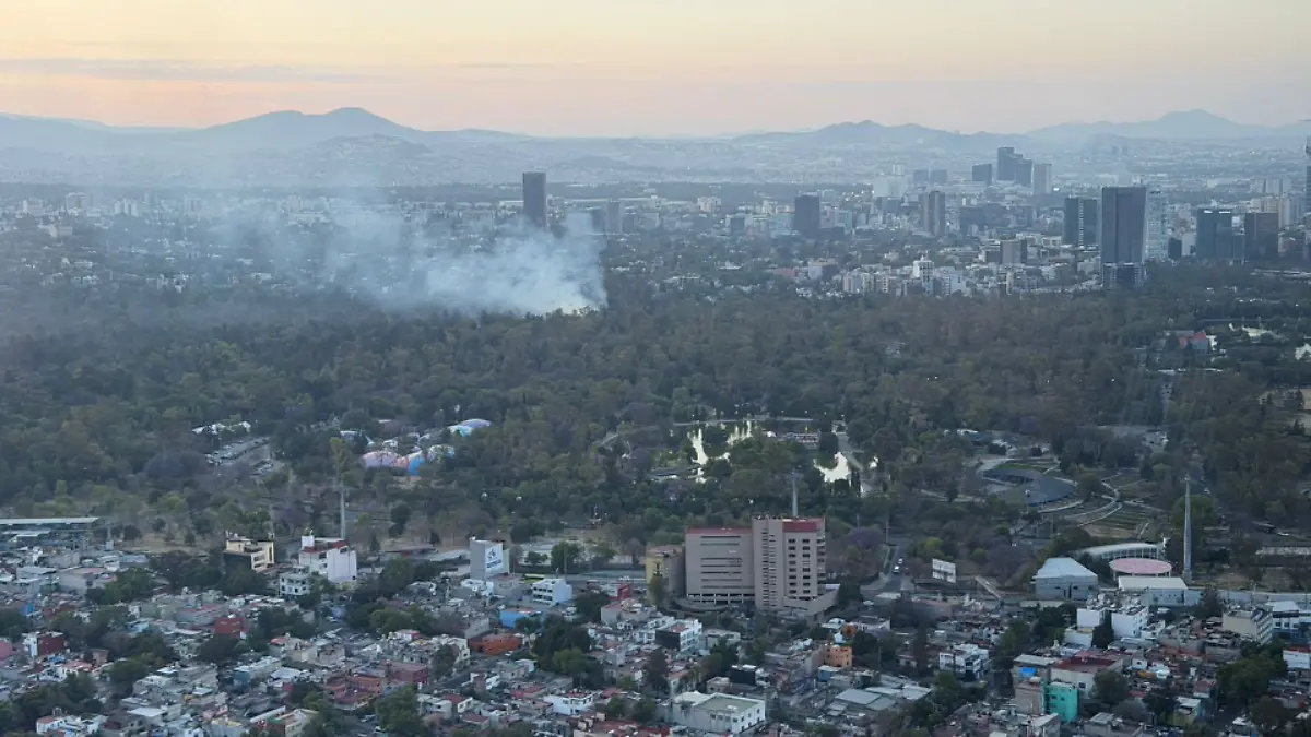 Captura de pantalla 2026-02-26 190411