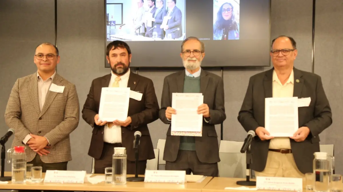 Captura de pantalla 2026-02-26 193305