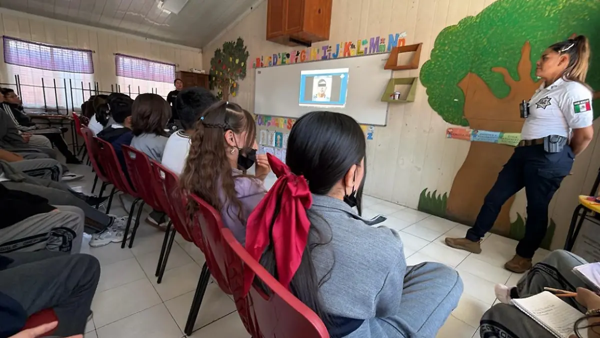 Captura de pantalla 2026-03-02 132200