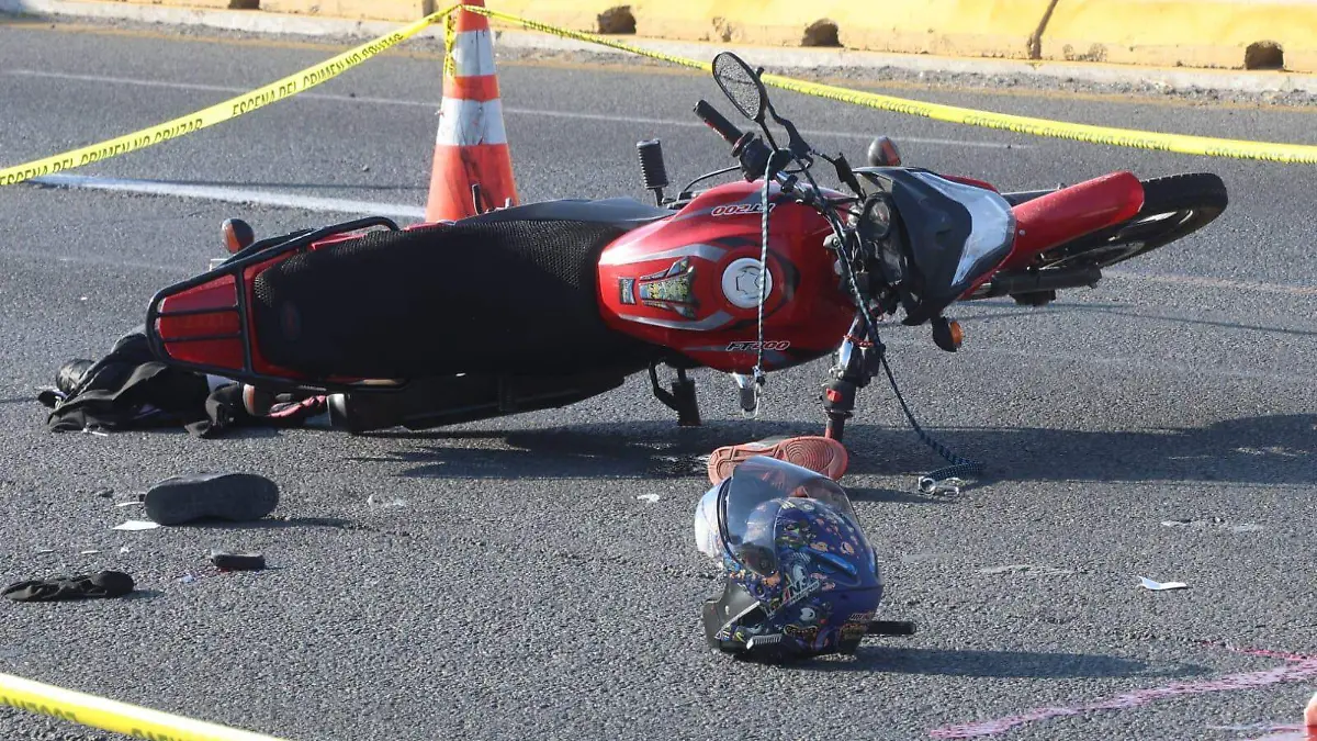 WhatsApp Image 2026-03-07 at 11.25.10 AM