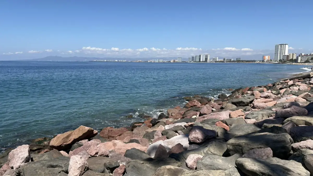 Captura de pantalla 2026-03-08 a la(s) 11.59.41 a.m.