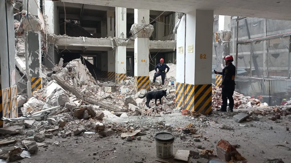 Captura de pantalla 2026-03-10 122833