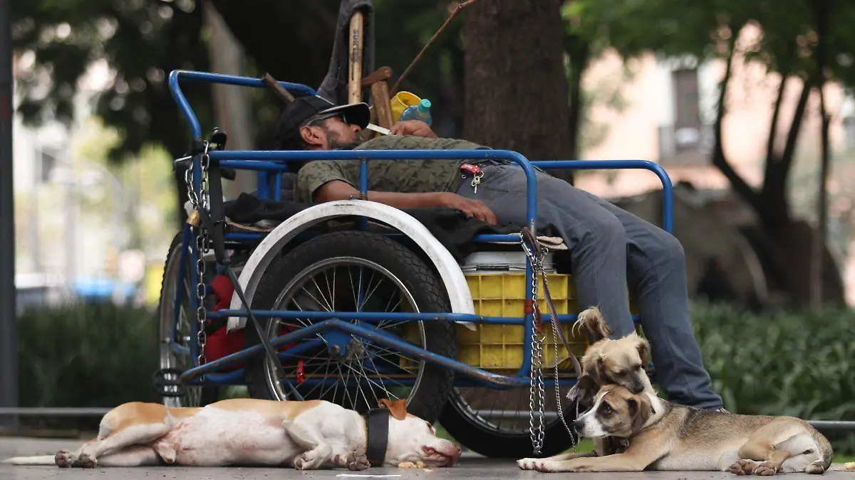 1043450_Cotidiana perritos Alameda Central_impreso