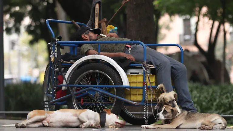 1043450_Cotidiana perritos Alameda Central_impreso