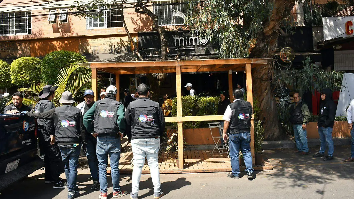 retiro de pergolasAlcaldía Benito Juárez.2