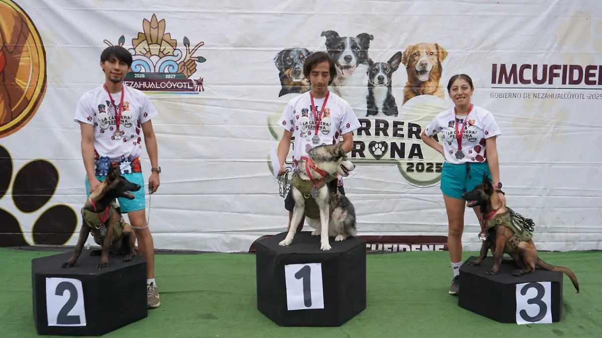 Captura de pantalla 2026-03-15 155449