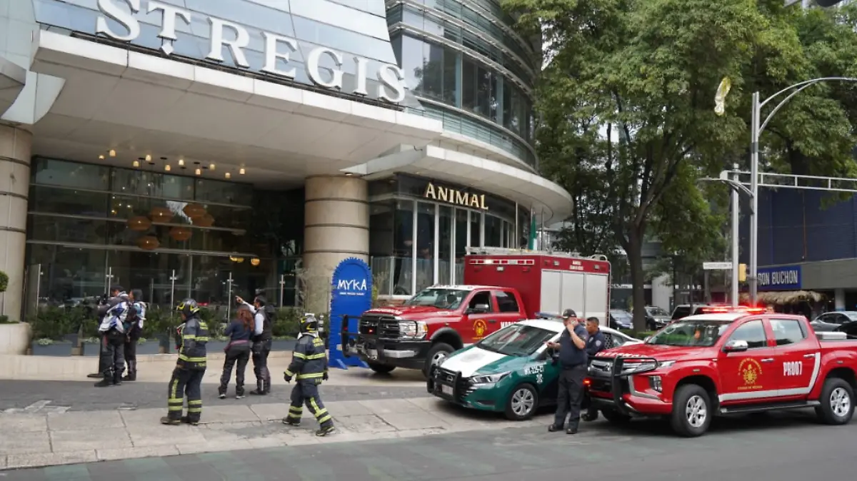 Captura de pantalla 2026-03-16 191413