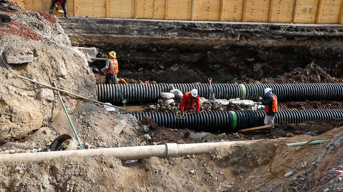 WhatsApp Image 2026-03-19 at 10.11.21 AM