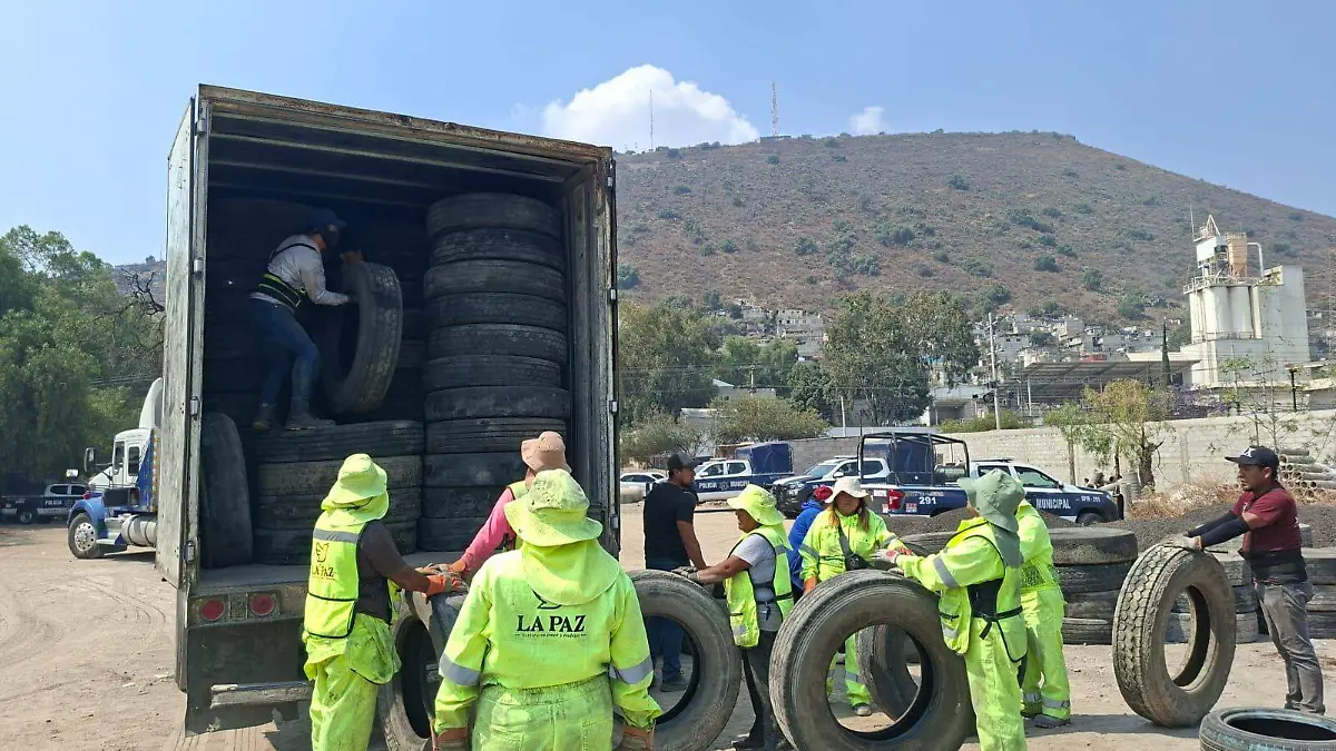 WhatsApp Image 2026-03-19 at 2.00.41 PM (1)