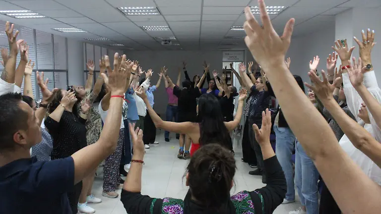 WhatsApp Image 2026-03-19 at 17.17.19