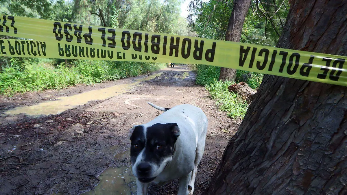 1049889_Muerto Río Cuuautitlán_web