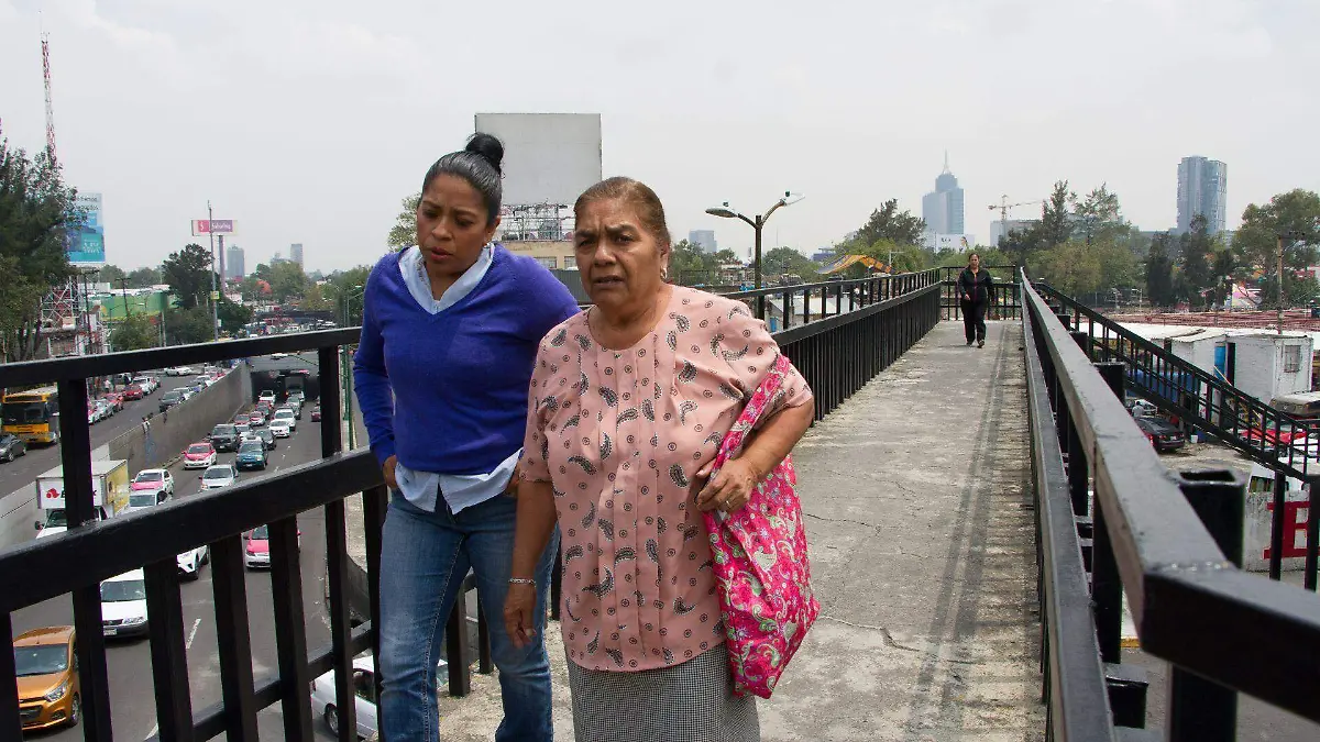 669194_Puentes Peatonales_web