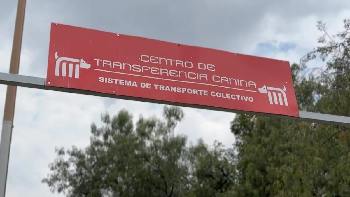 WhatsApp Image 2026-03-21 at 11.48.02 AM