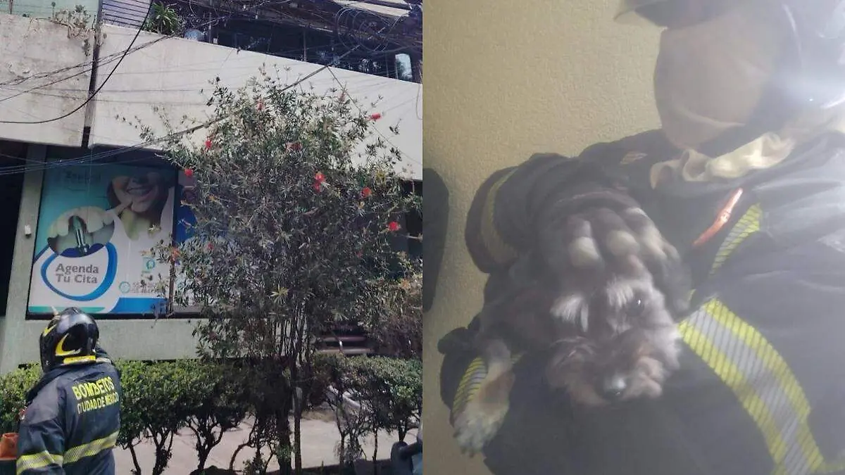 incendio roma BOMBEROS