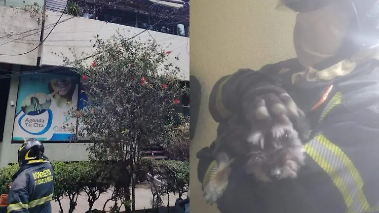 incendio roma BOMBEROS