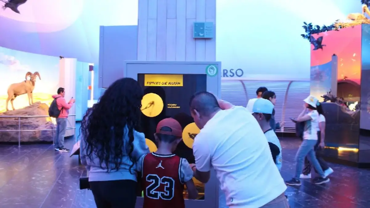 Captura de pantalla 2026-03-23 122410