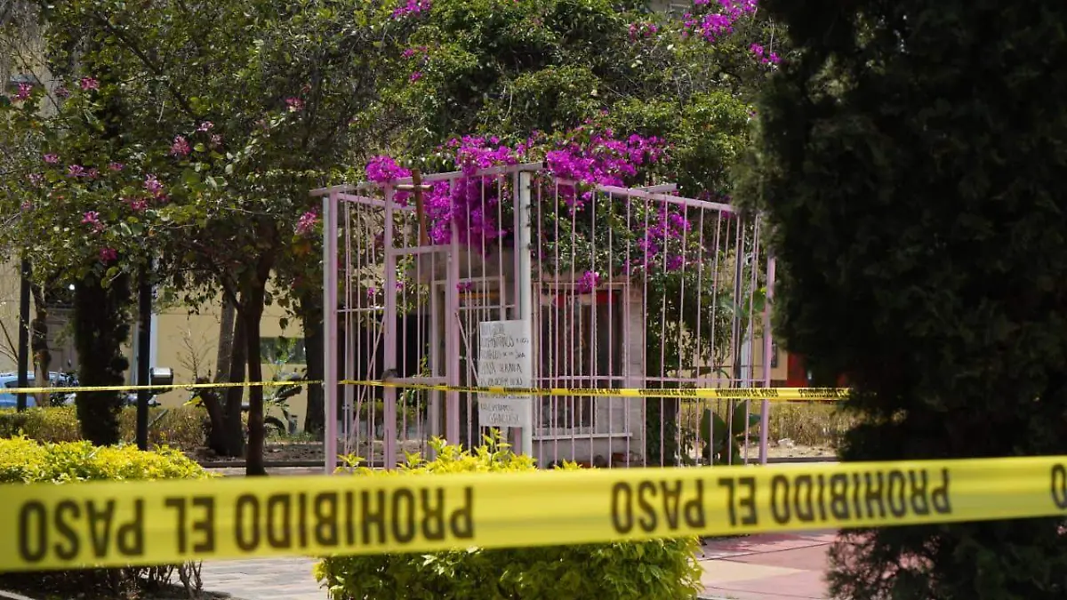 Muerto colonia centro  (1)