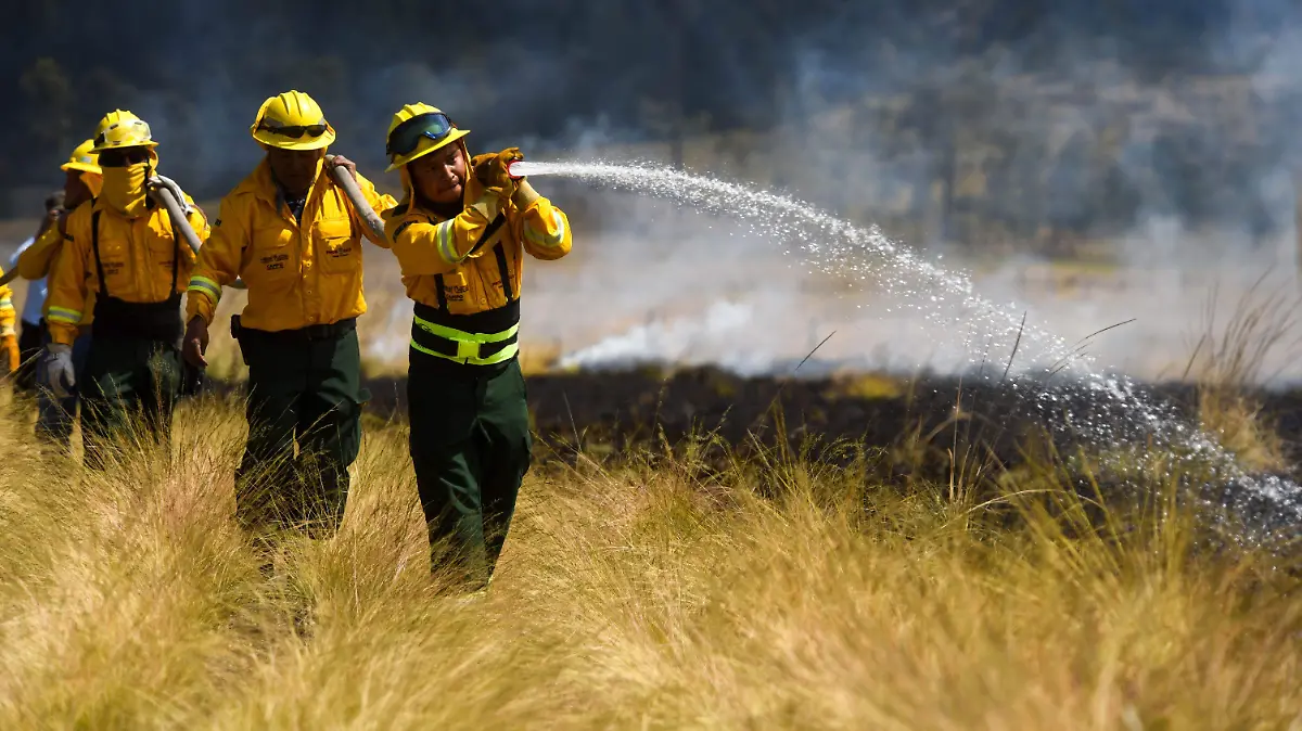 1072972_Quema controlada PROBOSQUE_impreso