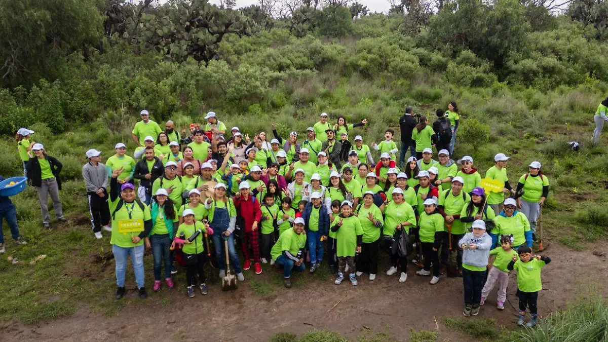 traxion-transporte-de-carga1