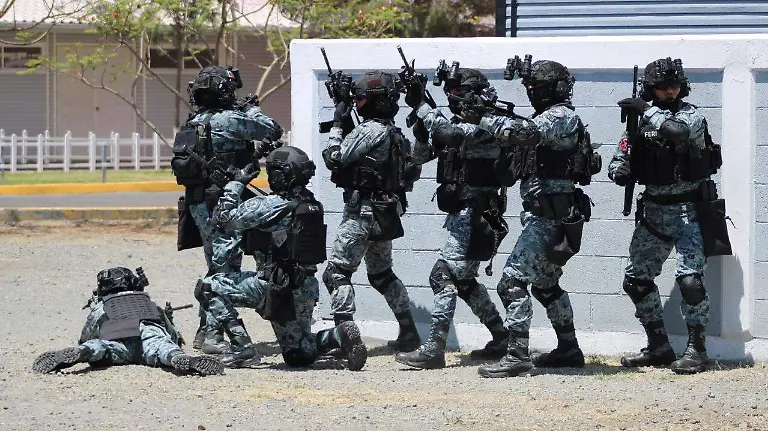 Fuerza Especial de Reacción e Intervención BERE LUNA.7