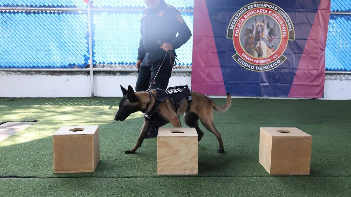 WhatsApp Image 2026-03-26 at 19.16.25 (1)