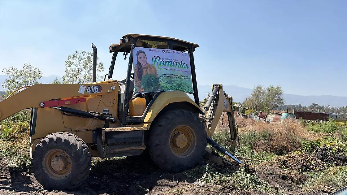 WhatsApp Image 2026-03-27 at 12.10.12 PM (1)