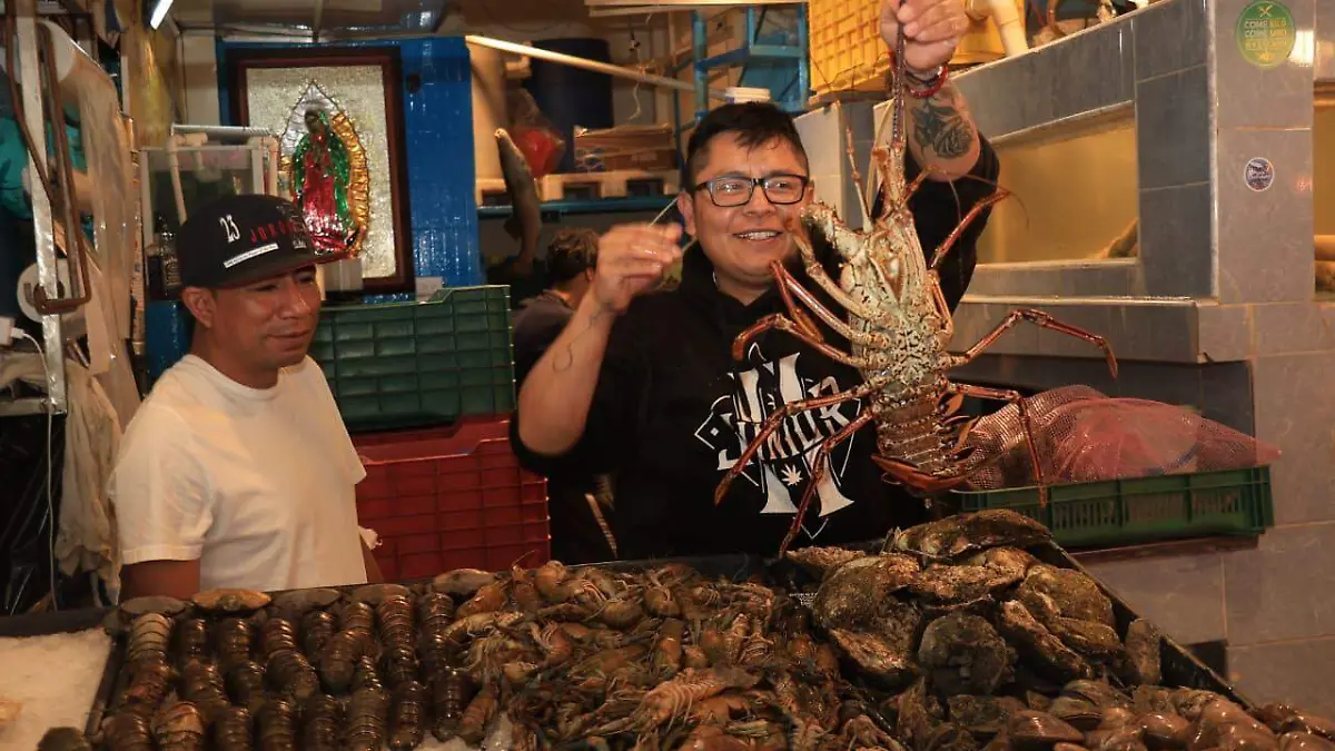 nueva viga DAVID DEOLARTE