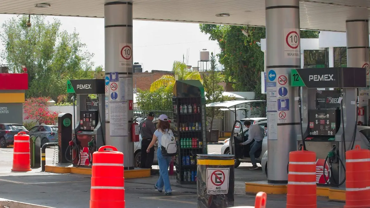 WhatsApp Image 2026-03-24 at 4.20.46 PM