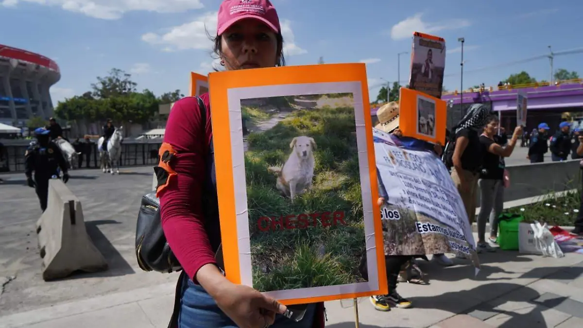 refugio franciscano estadio banorte MAXIMILIANO PÉREZ.2