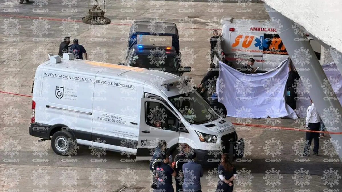 WhatsApp Image 2026-03-28 at 6.33.44 PM