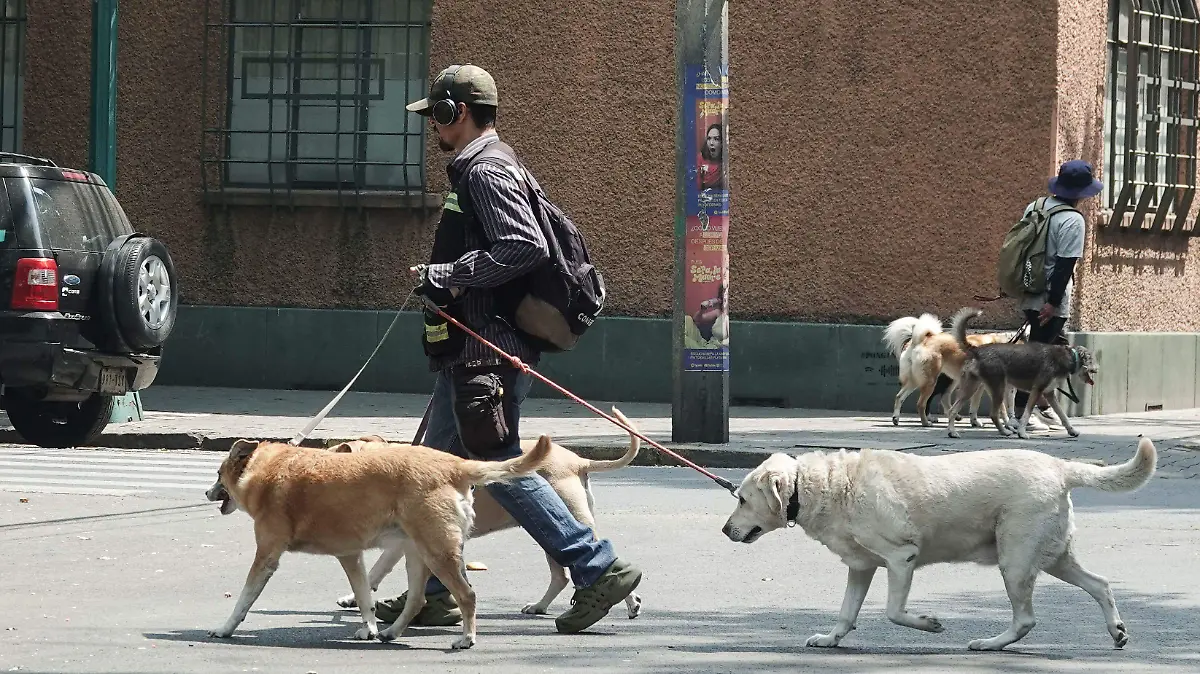 1072770_Vida Cotidiana Condesa_impreso