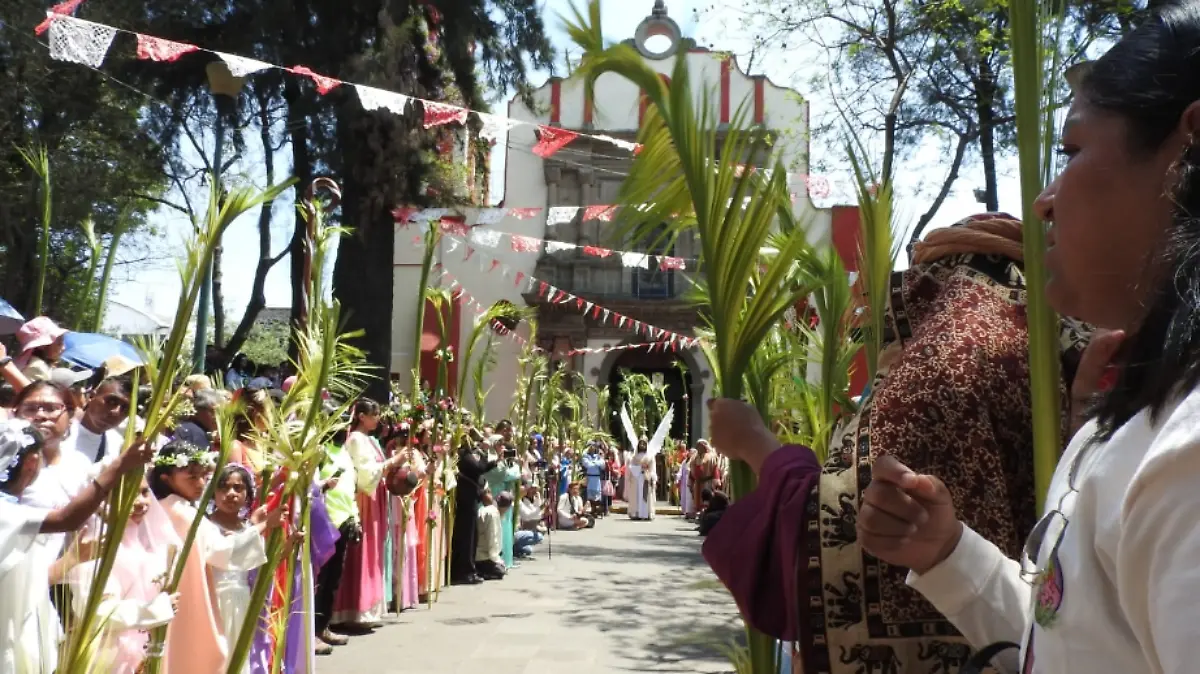 Captura de pantalla 2026-03-29 140302