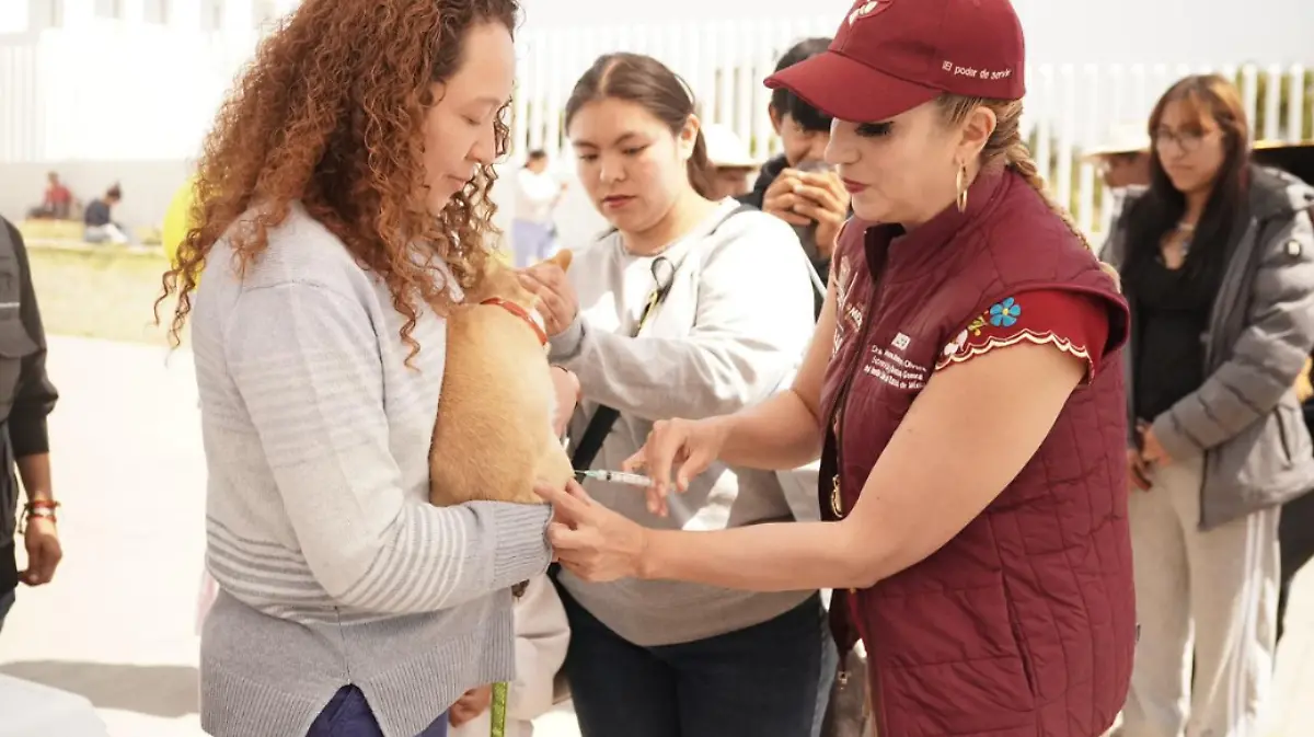 Captura de pantalla 2026-03-30 133638