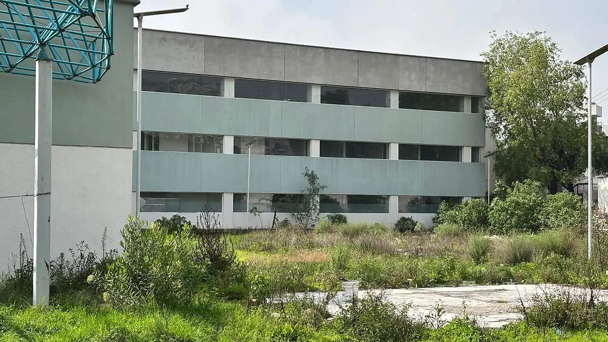 WhatsApp Image 2026-03-31 at 12.04.33 PM