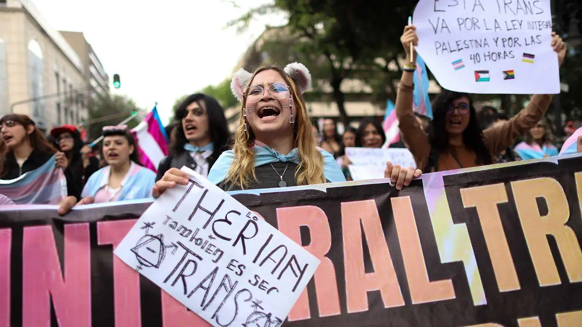 1075921_Marcha Día Internacional Visibilidad Trans_web