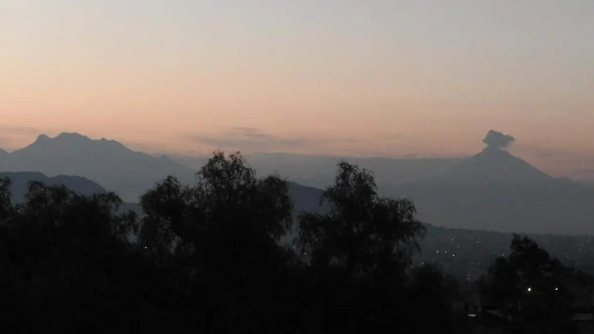 WhatsApp Image 2026-04-01 at 6.59.32 AM