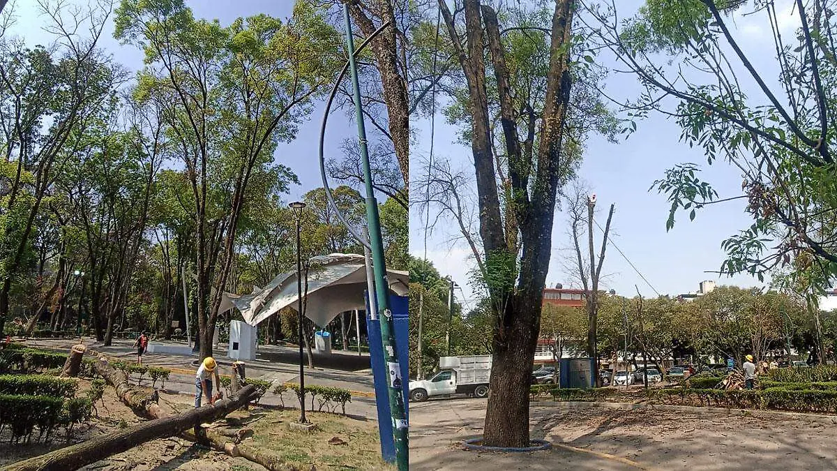 arboles de los venados