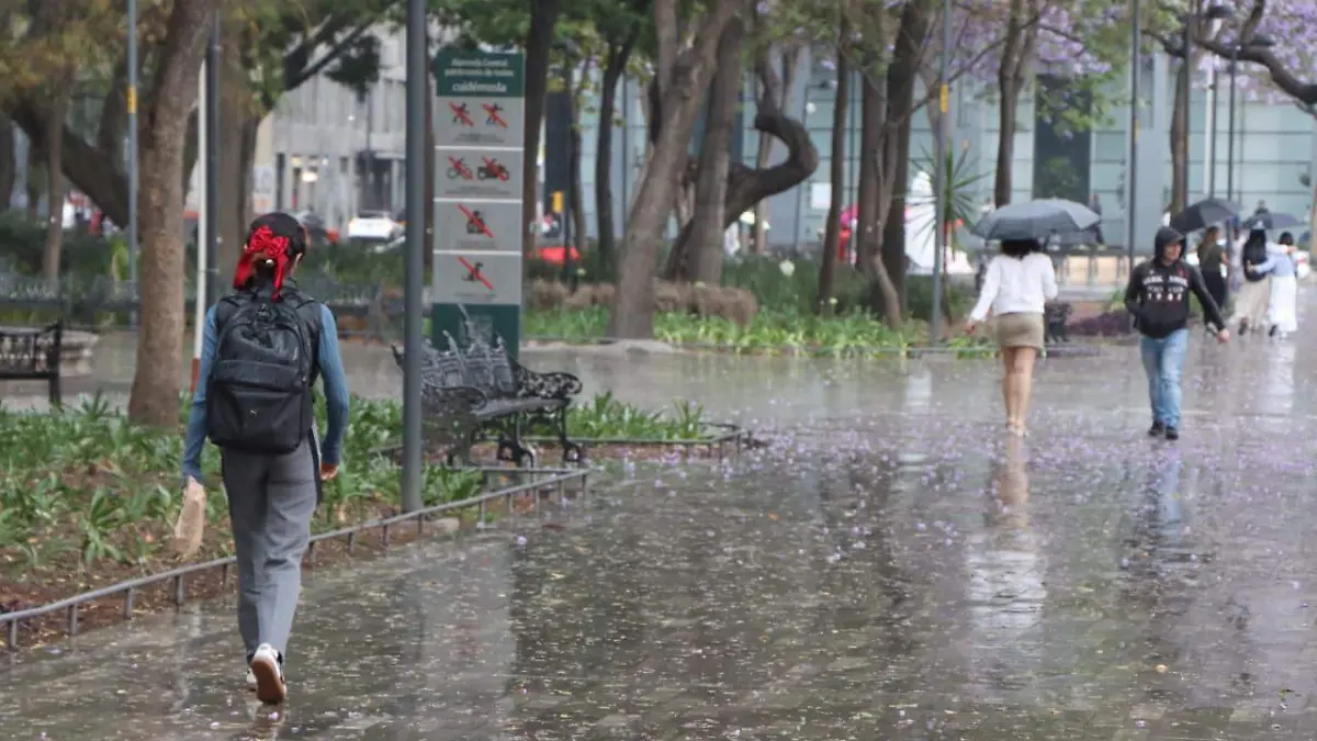 lluvia marzo MAXIMILIANO PEREZ.2