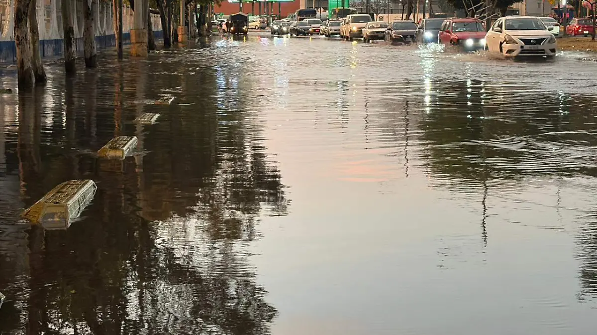 WhatsApp Image 2026-04-07 at 7.51.50 PM