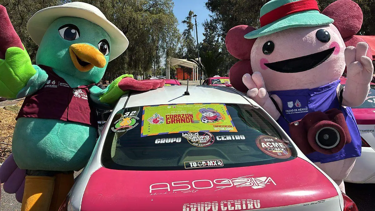 taxis-concesionados1