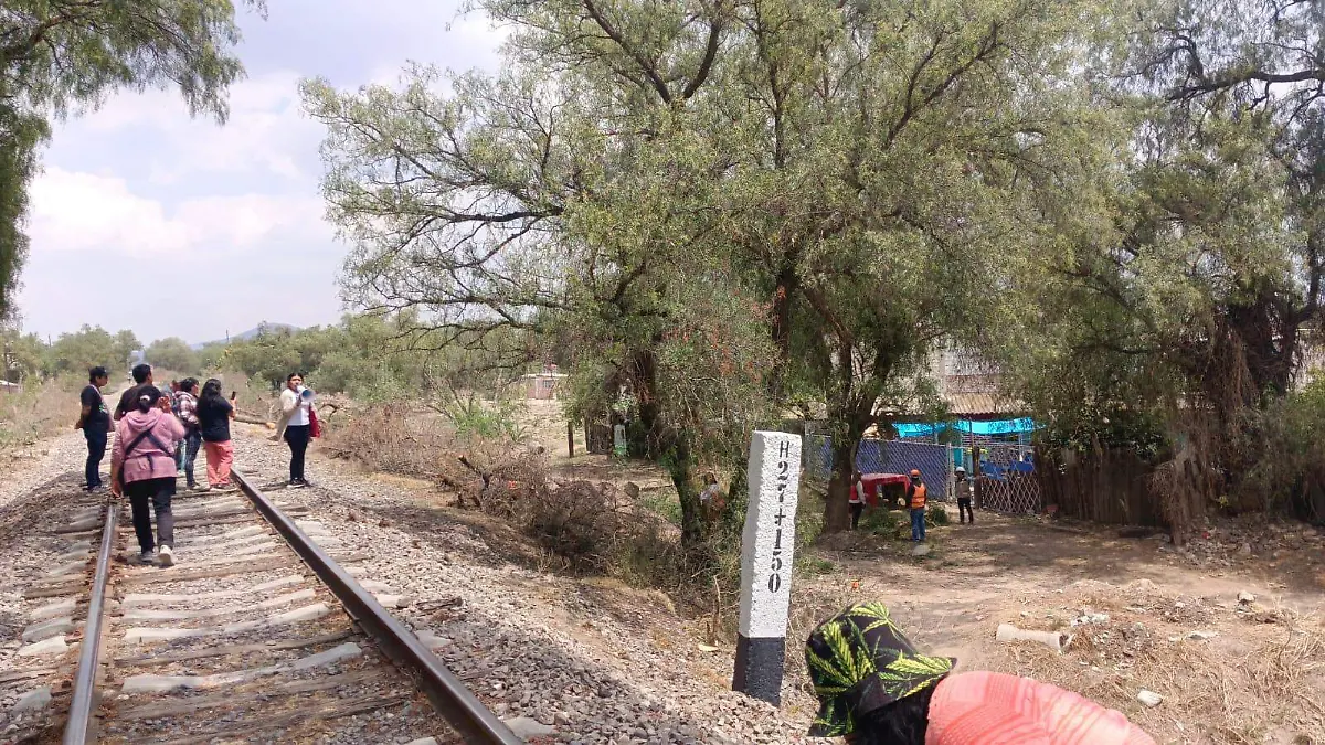 tala tren aifa pachuca CORTESIA.2