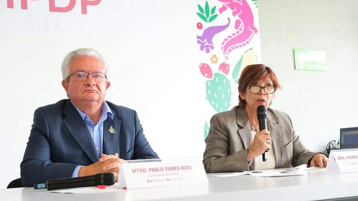 plan desarrollo Cortesía Gobierno CDMX