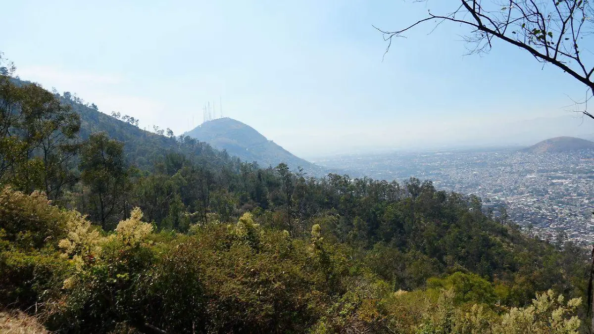 parque tepeyac SEDEMA