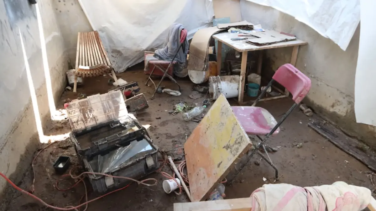 Captura de pantalla 2026-04-14 172040