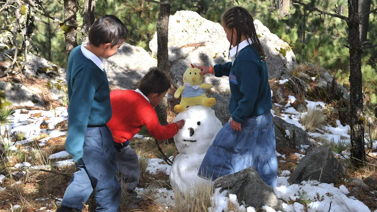 244437_Frío Nevada_impreso