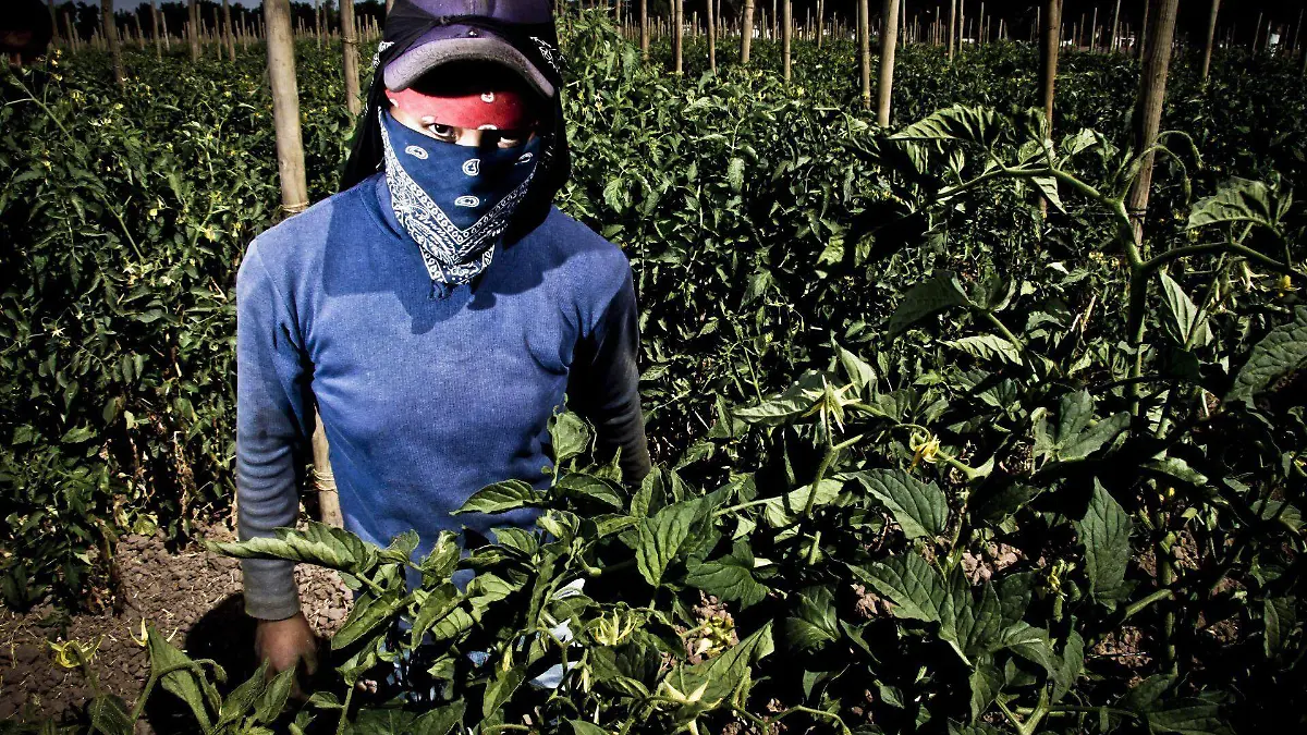 377759_Mujeres rurales_web