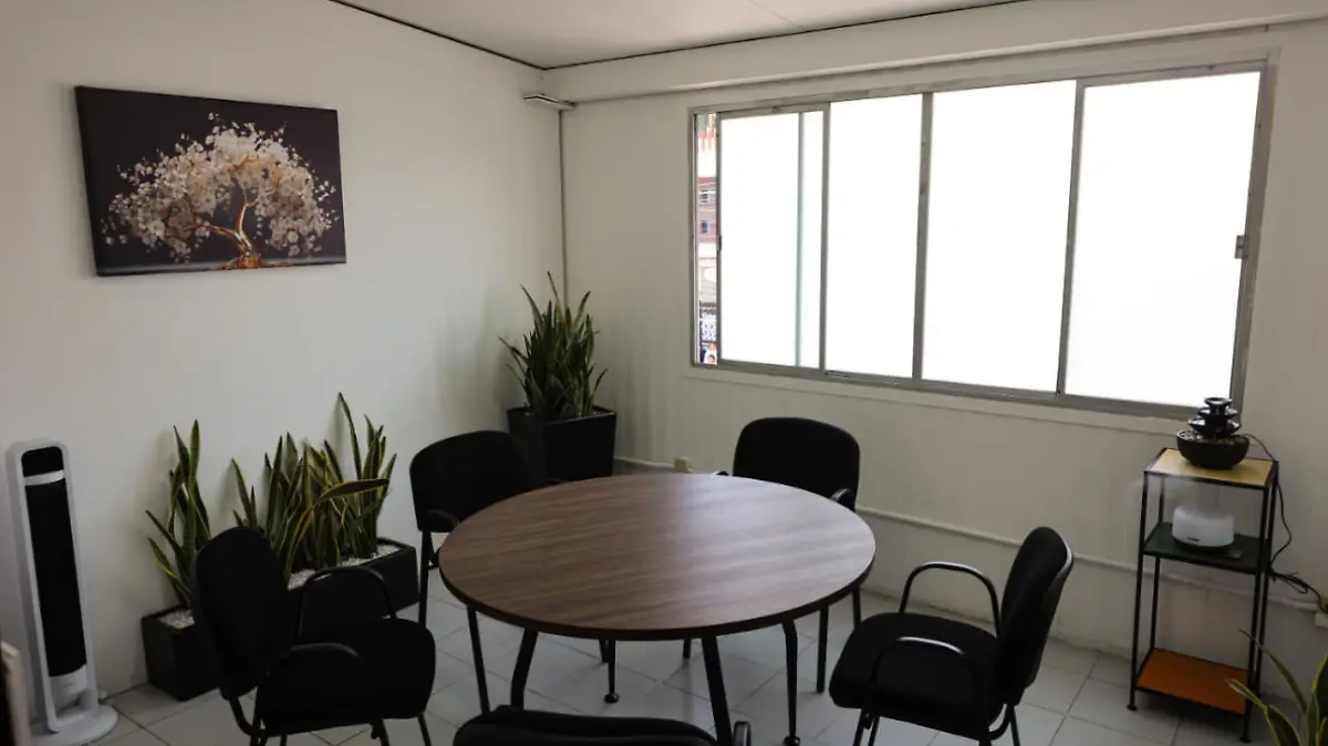 Captura de pantalla 2026-04-19 124735