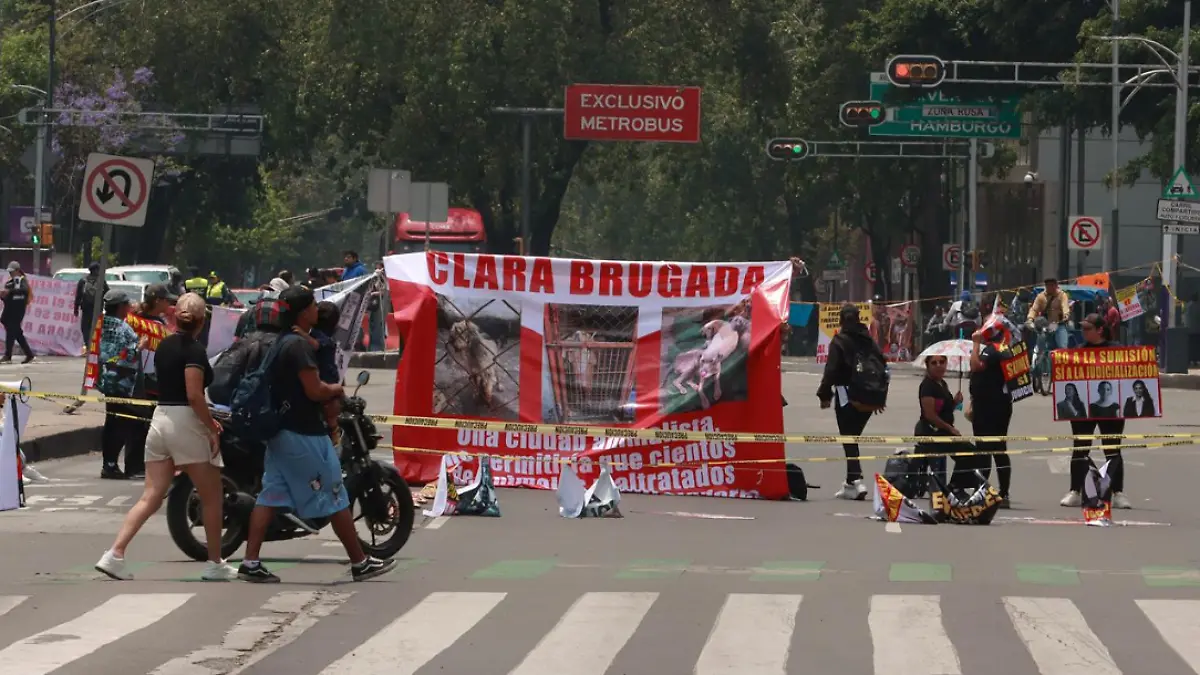 Captura de pantalla 2026-04-22 131601